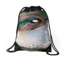 Sleeping Duck