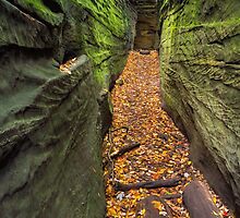 Narrow Crevice by Kenneth Keifer