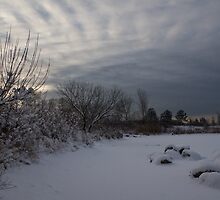 Clearing Snowstorm by Georgia Mizuleva