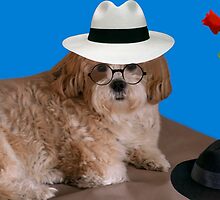 ❁◕‿◕❁ ✾◕‿◕✾Teddy Bear I See Just Fine ❁◕‿◕❁ ✾◕‿◕✾ by ✿✿ Bonita ✿✿ ђєℓℓσ