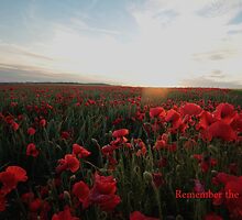Remember the Fallen by Murray Breingan