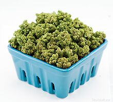 bud picking by DevilsLettucePh