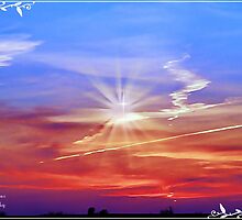 The Promise by Connie Smith
