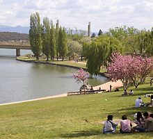 Lake Burley Griffin by Shutterbug