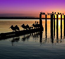 Port Phillip Bay by Darren Stones