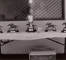 48th Picnic Race Meeting, Warri Racecourse, Ardlethan by Shutterbug