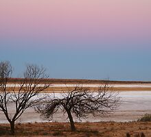 Salt Flats Simpson Desert,S.A. by Joe Mortelliti