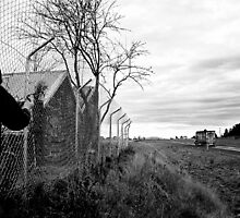 Tagging Along by Bruce Watson