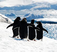Circle of Friends by Clare McClelland