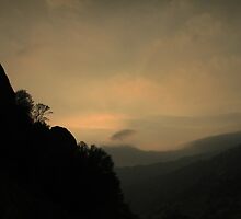 Through the Fog by Corri Gryting Gutzman