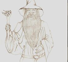 Gandulf by celeste duminy