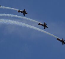 Air Acrobats by Matthew Weaver