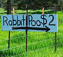Rabbit Poo by Darren Stones
