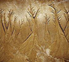 Ephemeral Trees by Ern Mainka