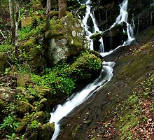 Spring Cascade by Gary L Suddath