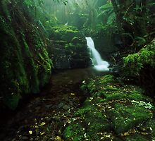 quaint chasm - Gippsland, Vic. by Tony Middleton