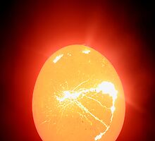 egg tear by ligek