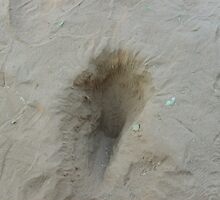 mere cat holes by mj007
