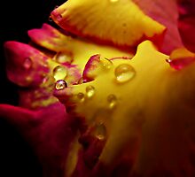 Hypnotize by InfinityRain