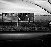 Dead Sert by GCPhoto