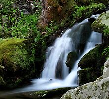 Whispering Waters by Gary L Suddath