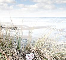 lonely blue wooden heart on beach dunes by morrbyte