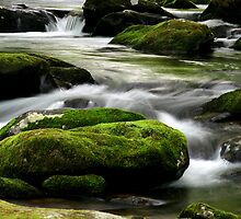 Mossy River Rocks by Gary L Suddath