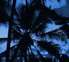 Blue Sky Palm by Kylie Reid