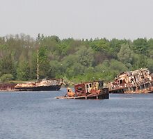 Chernobyl Harbour by Peter Price