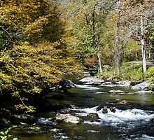 Little River by Gary L Suddath