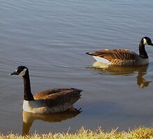 Mirror Images by christyashe