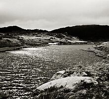 Isolation by James Messervy
