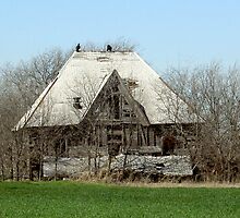 THE OLD HOMESTEAD! by DarrellMoseley