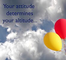 Altitude by Maria Dryfhout