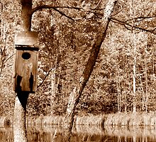 Waterfront Property by Thomas Sielaff