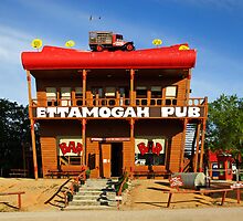 Ettamogah Pub at Albury by Darren Stones