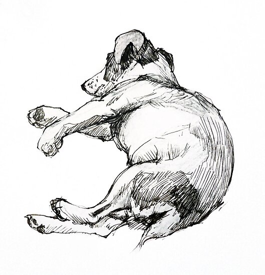 Sketch Dog
