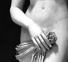 Torso by Paul Tupman