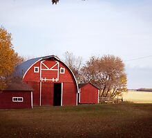 Grandpa's Farm by LeesaMay