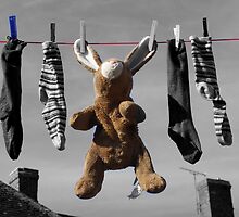 Out To Dry by Bruce Halliburton