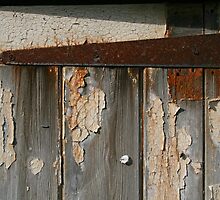 Many Textures by Dave Pearson
