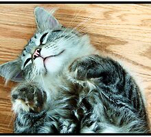 Precious Moments by Danielle LaBerge