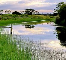 "Evening Calm" by Phil Thomson IPA