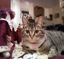Antique Hall Tree is the perfect seat in the house for this kitty Lil' by leih2008