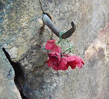 Rememberance @ Hell Fire Pass - Thailand by salsbells69
