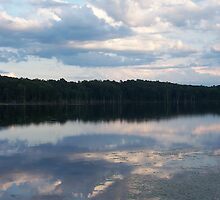 Nature’s Detail by KCSchiller