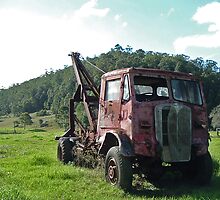 Out To Pasture by rossco