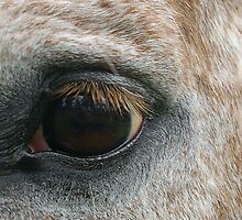 Got my Eye on You by Robyn Maynard