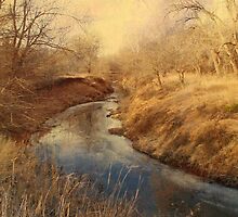 Following the Creek by Jing3011