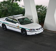 cops by zigzag